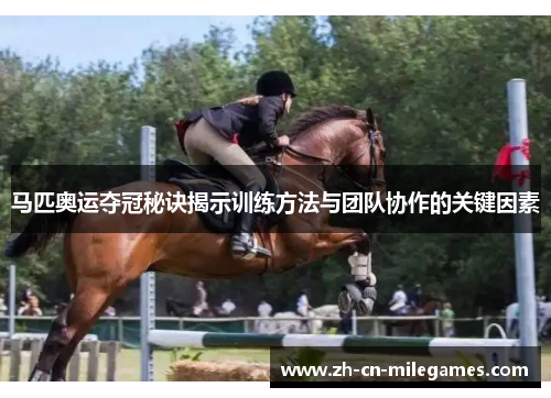 马匹奥运夺冠秘诀揭示训练方法与团队协作的关键因素