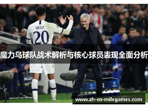 魔力鸟球队战术解析与核心球员表现全面分析